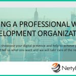 Hiring a Professional Web Development Organization