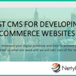 Finest CMS For Developing E-Commerce Websites
