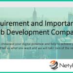 The requirement and Importance of a Web Development Company