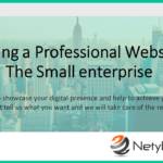 Acquiring a Professional Website for The Small enterprise