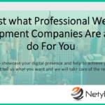 Just what Professional Web Development Companies Are able to do For You