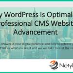 Why WordPress Is Optimal for Professional CMS Website Advancement